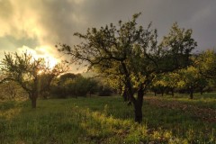 Primavera Venta Gaeta